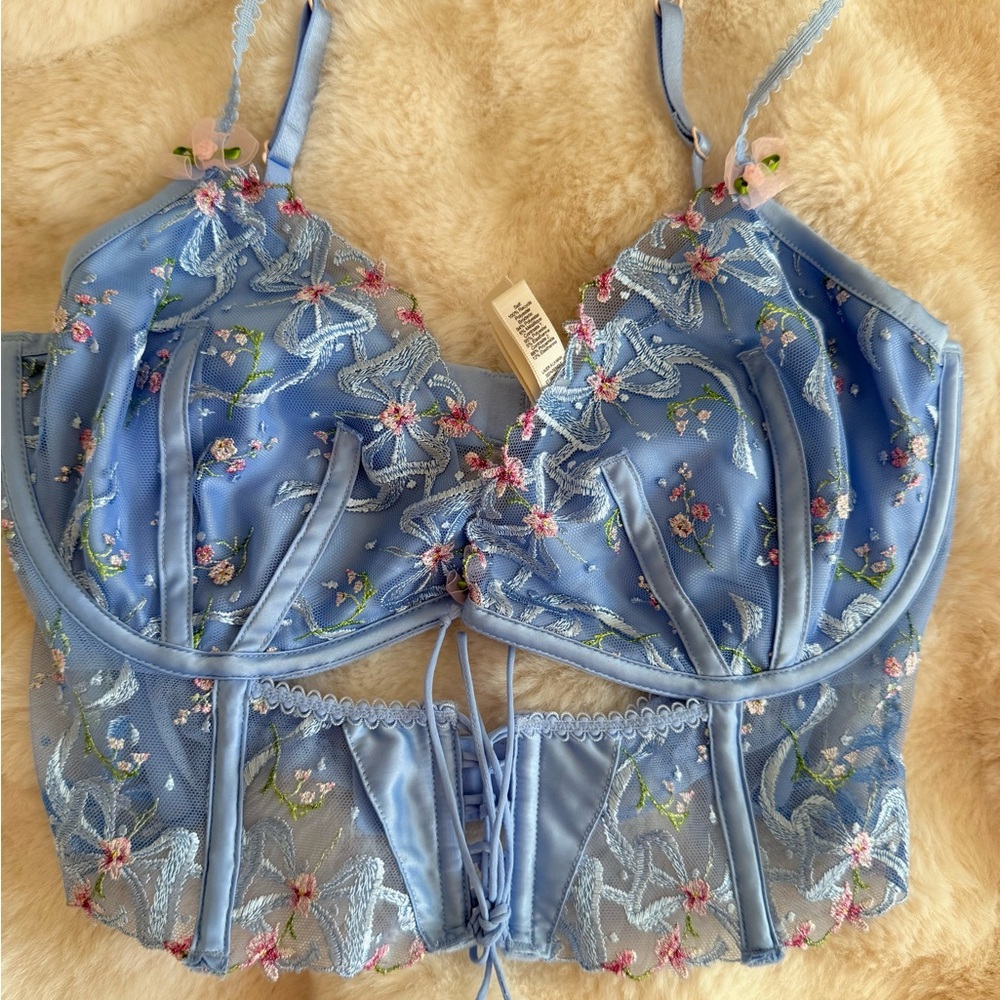 For Love & Lemons Powder Blue Floral Embroidered Bustier